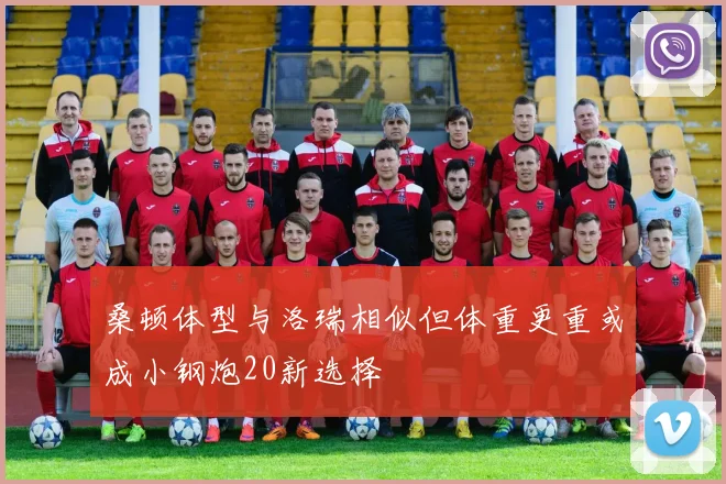 桑顿体型与洛瑞相似但体重更重或成小钢炮20新选择